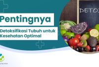 Metode Detoksifikasi Tubuh Yang Aman Dan Efektif